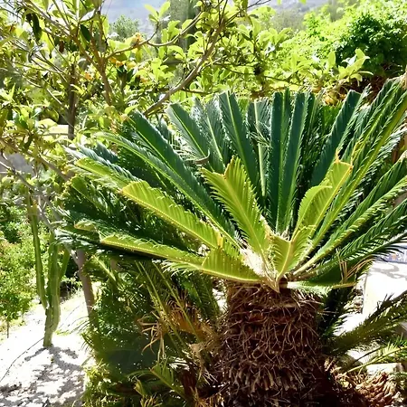 Βίλα Luxury In Calpe, Pool Κάλπε