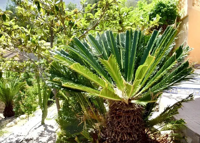 Villa Luxury In Calpe, Pool Calpe